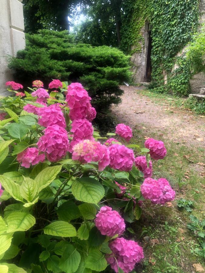 Demeure Des Payratons Bed & Breakfast Saint-Gerand-le-Puy Dış mekan fotoğraf